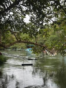 a swing hanging from a tree in a river at Baan LungYod Resort in Phetchaburi +228 photos