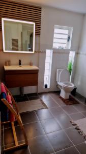 a bathroom with a toilet and a sink and a mirror at Case Créole Soalaze in Salazie +20 photos
