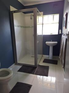 a bathroom with a shower and a toilet and a sink at The Pebble in Howick