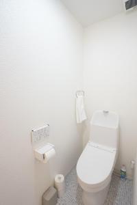 a bathroom with a white toilet in a room at Yukimi Nakafurano in Nakafurano