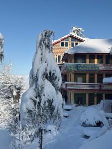 a snow covered tree in front of a building at Sojhaholidayinn in Shoja