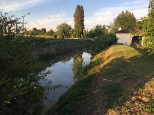 Przyroda w pobliżu tego apartamentu