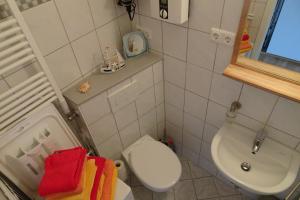 Baño pequeño con aseo y lavamanos en Ferienwohnung Ostsee App. 6111, en Wendtorf