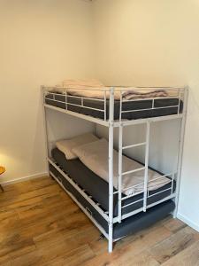 two bunk beds in a room with wooden floors at Ferienwohnungen Riese - Weitblick in Arnsberg