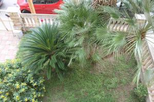 un paio di palme in un giardino fiorito di Garden House a Pozzallo