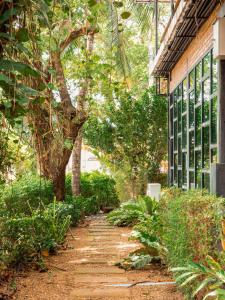 a garden path next to a building with trees at Tavana Residence in Ban Na Bon +13 photos