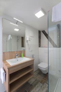 ein Badezimmer mit einem Waschbecken, einem WC und einem Spiegel in der Unterkunft Hotel Gasthof Sonne in Fridingen an der Donau