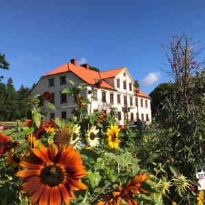 a house with a field of flowers in front of it at Vandrarhemmet Årås Säteri och Trädgårdar in Årås