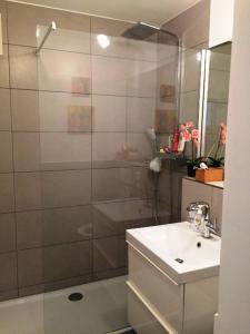 ein Bad mit einer Dusche und einem Waschbecken in der Unterkunft Exclusive Lounge Appartement in Bad Bellingen