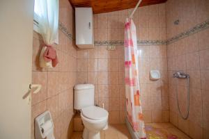 a bathroom with a toilet and a shower at Dora's Beach Cottages in Planos +42 photos