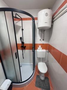 a small bathroom with a shower and a toilet at Apartment Story in Pale