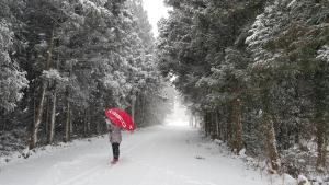 a woman walking down a snow covered road holding an umbrella at Gyorae Drive-in Motel in Jeju +7 photos