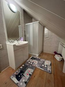 a bathroom with a sink and a rug on the floor at Apartmány U Kocoura pod Klínovcem in Kovářská +16 photos