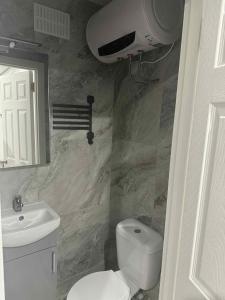 a bathroom with a white toilet and a sink at The Garden Studio in Dublin
