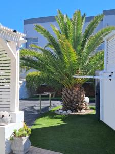 a palm tree in a yard next to a building at Beach Style Cottage in Langebaan
