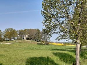 a tree in a field with a house on a hill at NEU! Ferienwohnung Hanka in Crostwitz