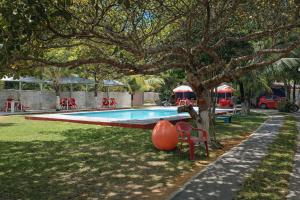 a pool with an orange ball next to a tree at Mutary II in Santa Cruz Cabrália