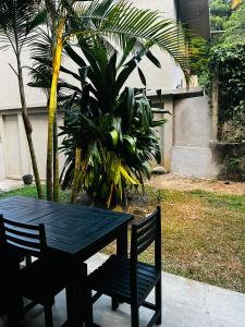 a black table and chairs next to a palm tree at BlueTide Hiriketiya in Hiriketiya