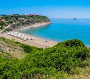 a view of a beach with a group of boats at Dvillas one bedroom apartment in Svoronata