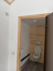 a bathroom with a toilet in a wooden room at Mini Хаус Ясіня in Yasinya