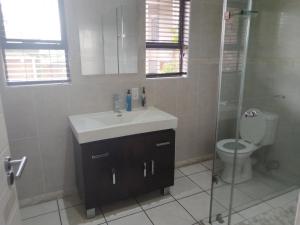 a bathroom with a sink and a shower and a toilet at Elephant hide away in eMalahleni +12 photos