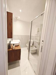a bathroom with a toilet and a glass shower at Bilo Giudici in Clusone