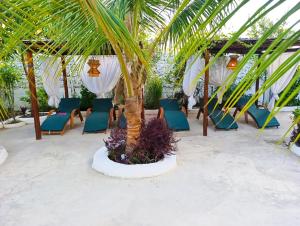 a group of chairs and a palm tree on a beach at Happy Villas in Paje