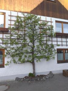 a tree in front of a white building at Ferienwohnung Dietz in Dießen am Ammersee