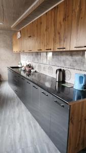 a kitchen with a stainless steel counter and wooden cabinets at JONIKA Sleep & Go Inn in Aktepa-Chigatay