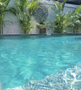 a swimming pool with blue water and plants at Rumah Kayu Sari in Mengwi