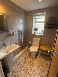 a bathroom with a sink and a toilet and a window at The Hutch Devon in Longdown