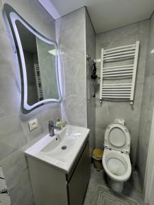 a bathroom with a toilet and a sink and a mirror at Apartament Edinet in Edineţ