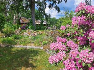 a garden with pink flowers and a house in the background at Chilla villa in Leryd