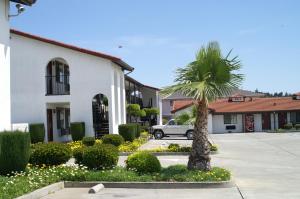 
a large palm tree in front of a house at Regency Inn in Vallejo
