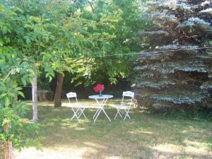 a table and chairs in a yard with a vase of flowers at Gîte la salle in Vivonne +7 photos