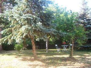 a picnic table and two trees in a yard at Gîte la salle in Vivonne