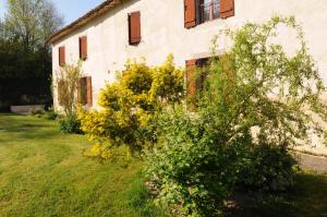 an old house with a bush in front of it at Le refuge de théoline in Lathus St Remy