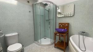 a bathroom with a shower and a sink and a toilet at test in Saint-Avertin
