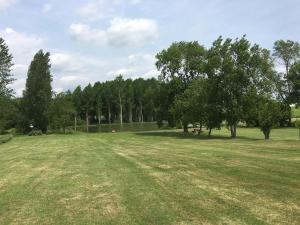 a large grass field with trees in the background at La prée in Seligny