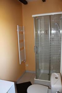 a bathroom with a toilet and a glass shower at L'althéa in Saint-Gervais-les-Trois-Clochers