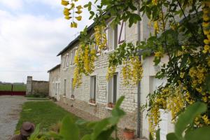 a white brick building with yellow flowers on it at L'althéa in Saint-Gervais-les-Trois-Clochers