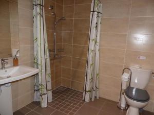 a bathroom with a shower and a toilet and a sink at Les pierres de la dive in Valence en Poitoux