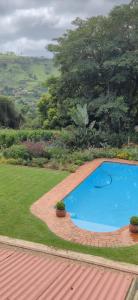 an image of a swimming pool in a yard at Udayana House in Hillcrest