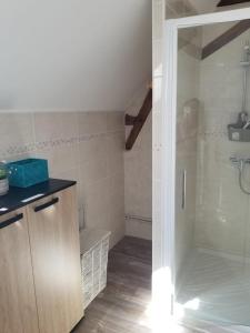 a shower with a glass door in a bathroom at La maison de gatienne in Coussay-les-Bois +9 photos