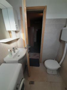 a small bathroom with a toilet and a sink at Podgorica apartment in Podgorica
