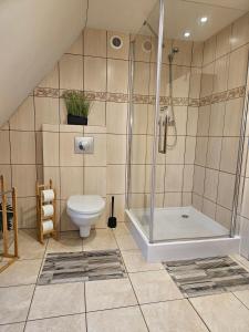 a bathroom with a shower and a toilet at Ferienhaus "BASTEK1" am See mit Kamin & JACUZZI - Domek Letniskowy BASTEK in Pasym +37 photos