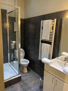 a bathroom with a toilet and a sink and a shower at Chambre Le Chevalblanc in Ajaccio