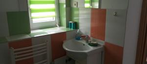 a bathroom with a sink and a mirror at Ubytování Lumik in Jeseník +55 photos
