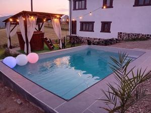 a swimming pool in front of a house at Cabana Maguri in Măguri