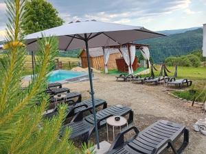 a group of chairs and an umbrella next to a pool at Cabana Maguri in Măguri